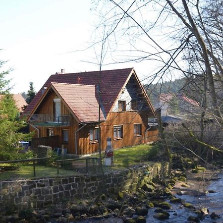 Holiday Home Hexenstieg In The Harz Mountains Elend Ngoại thất bức ảnh
