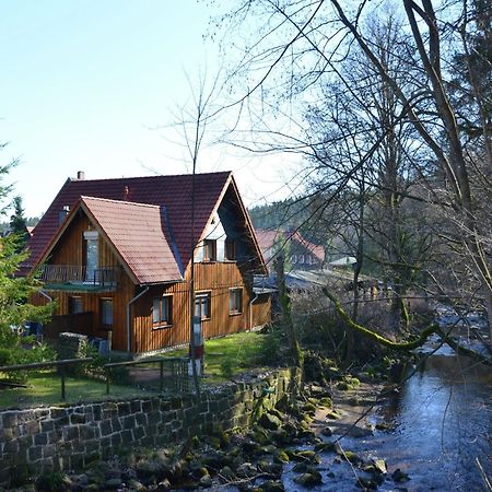 Holiday Home Hexenstieg In The Harz Mountains Elend Ngoại thất bức ảnh