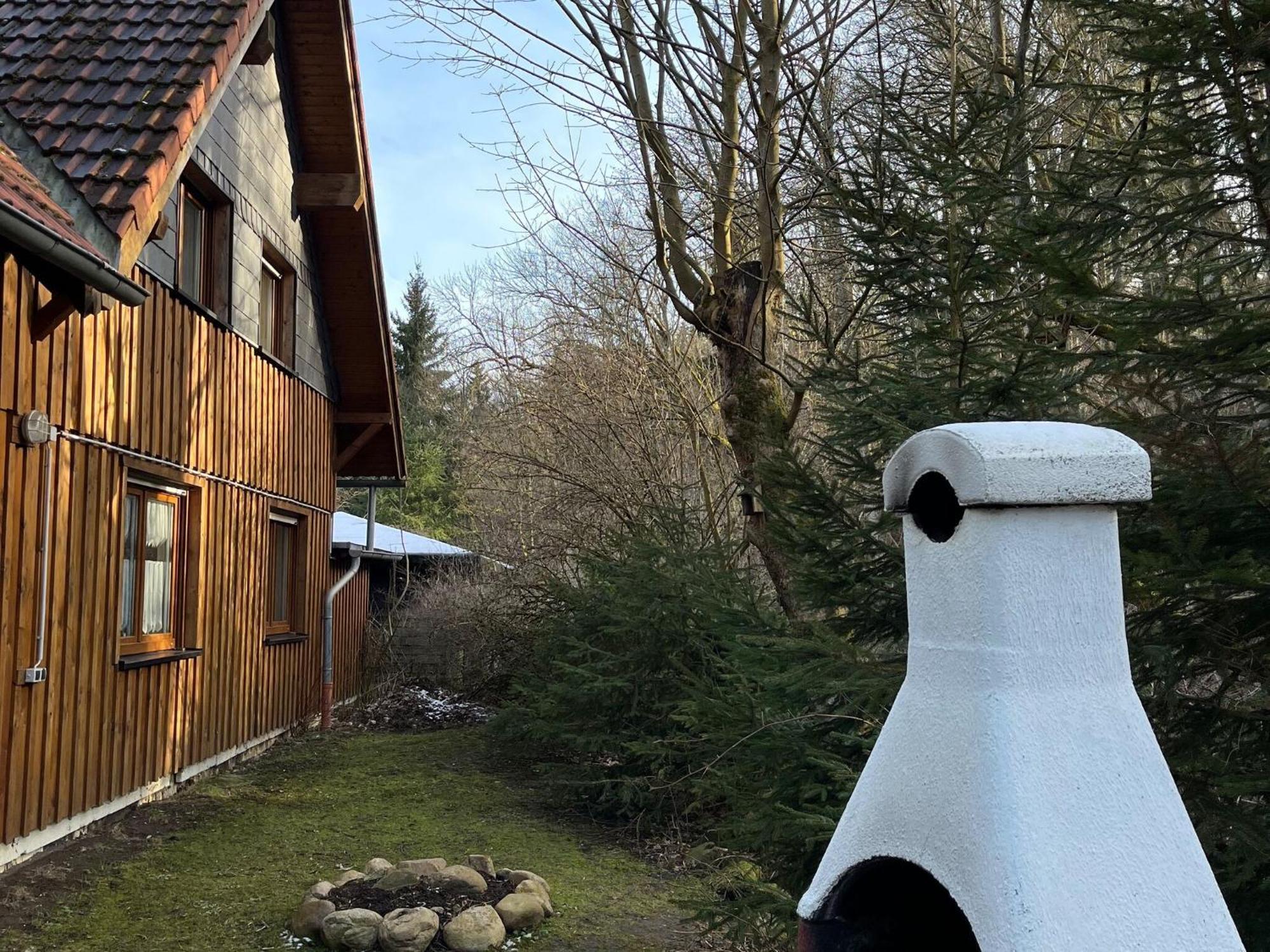 Holiday Home Hexenstieg In The Harz Mountains Elend Ngoại thất bức ảnh