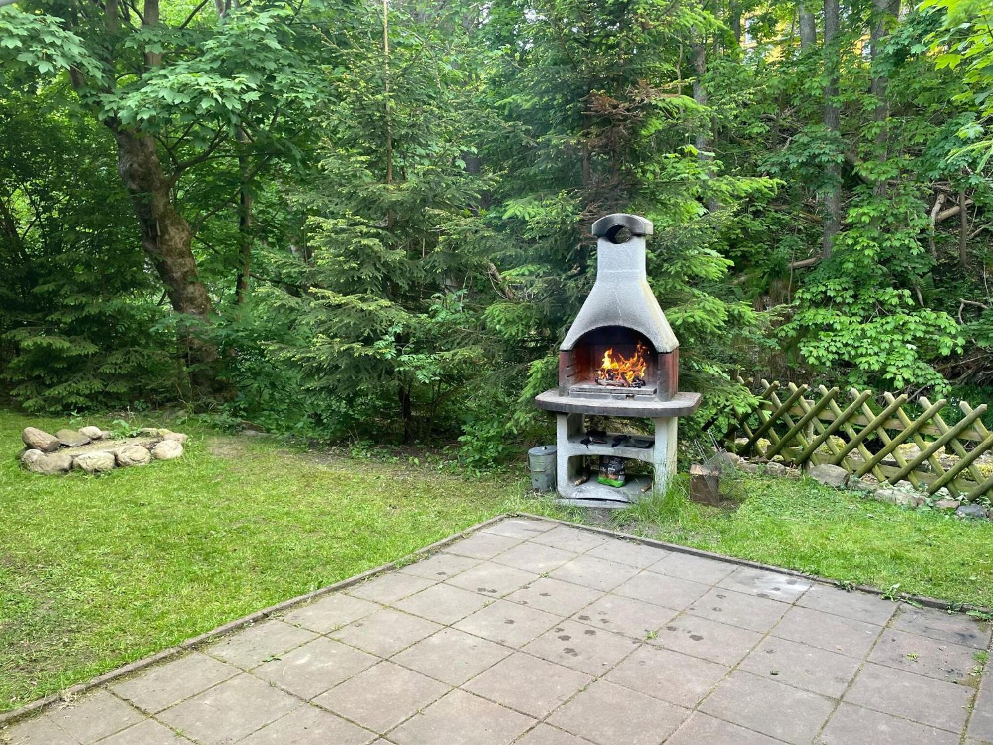 Holiday Home Hexenstieg In The Harz Mountains Elend Ngoại thất bức ảnh