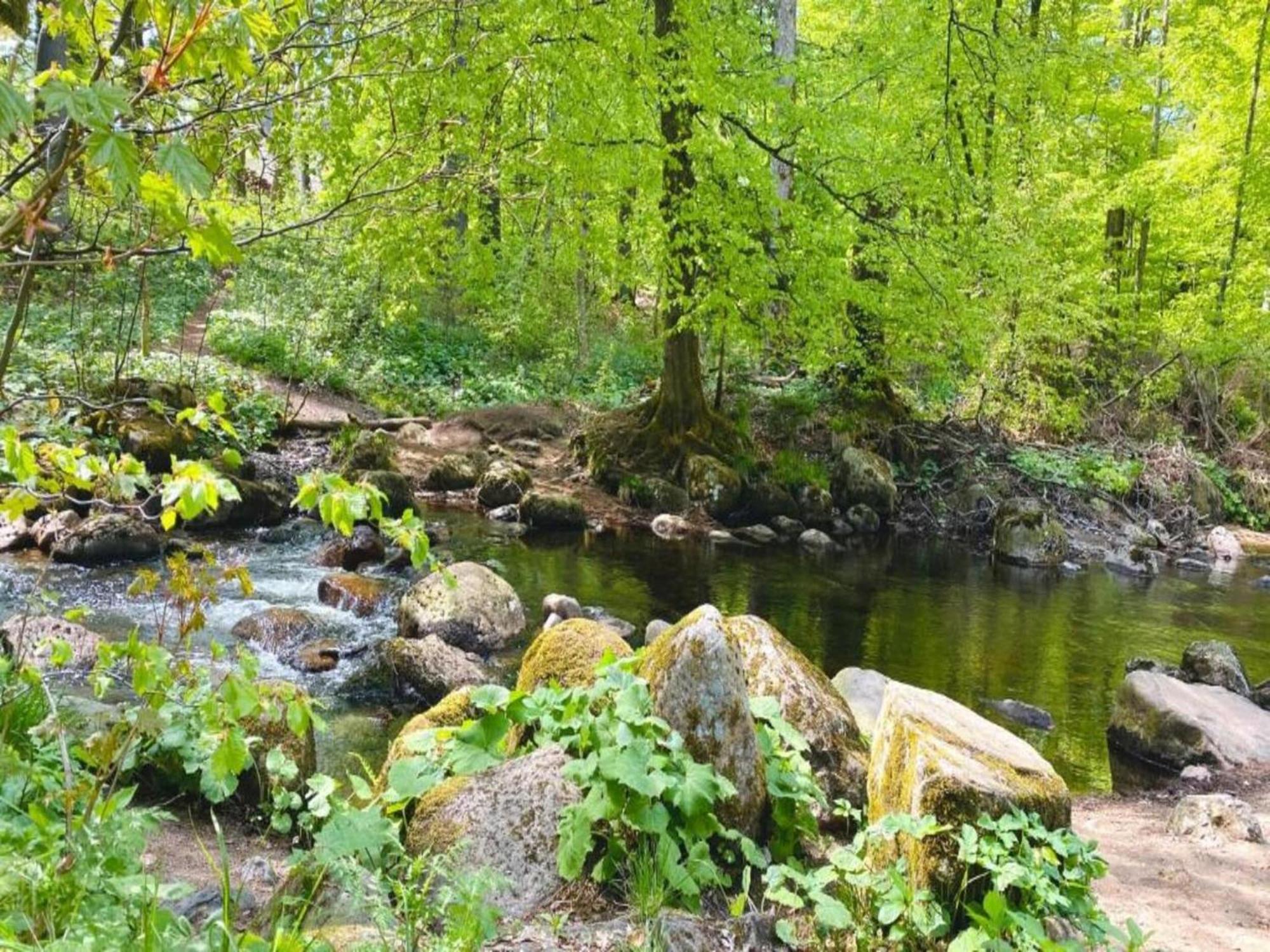 Holiday Home Hexenstieg In The Harz Mountains Elend Ngoại thất bức ảnh